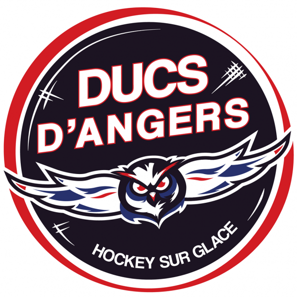 Hockey Angers vs Grenoble explications de la direction de l’arbitrage