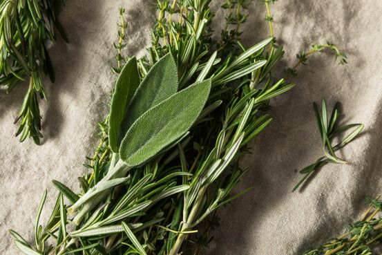Alzheimer : les bienfaits de l'acide carnosique du romarin et de la sauge