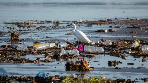 Un traité pour « mettre fin à la pollution plastique » est-il possible ?