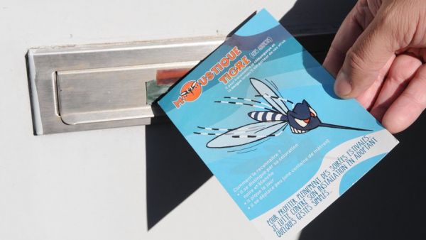 Chikungunya dans l'Hérault : "C'est déjà une alerte, et elle est précoce", un premier cas autochtone détecté, faut-il s'inquiéter ?