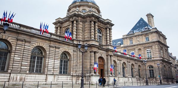Actualités parlementaires : le chlordécone de retour au Sénat