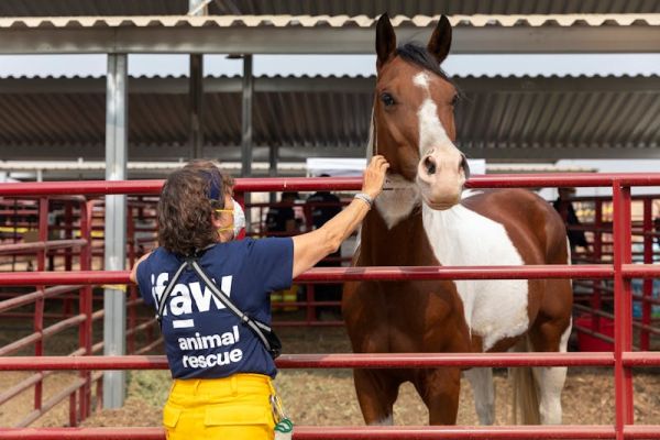 Soigneur animalier et agent animalier : quelles sont les différences ?