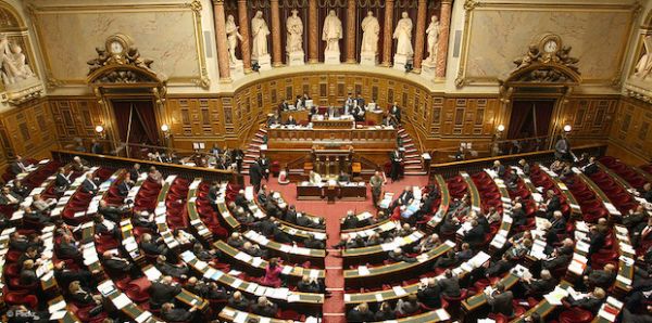 Actualités parlementaires : vote du projet de loi de simplification de la vie économique et coopération judiciaire avec le Brésil et le Suriname