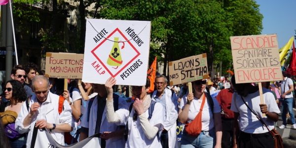 Loi Duplomb : mobilisation pour « remettre la science au coeur du débat »