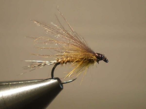 Fiche Montage : Brown Mustard Émergente