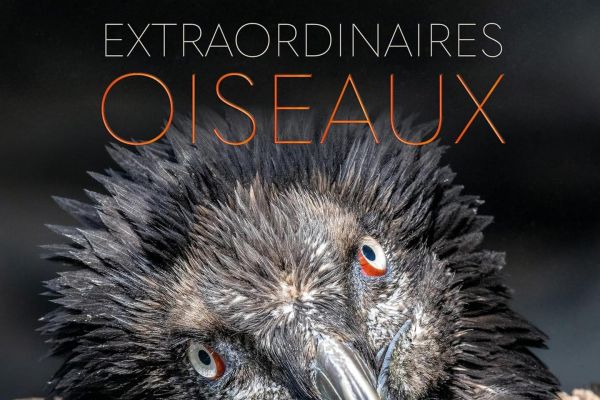 Onze beaux livres scientifiques à offrir pour les fêtes