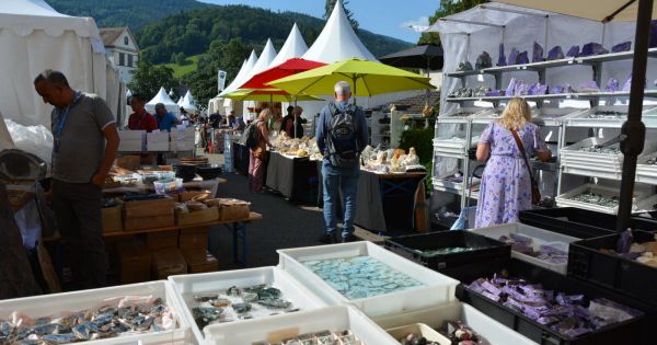 Sainte-Marie-aux-Mines. Près d'un millier d'exposants attendus à la 60e édition de la bourse aux minéraux