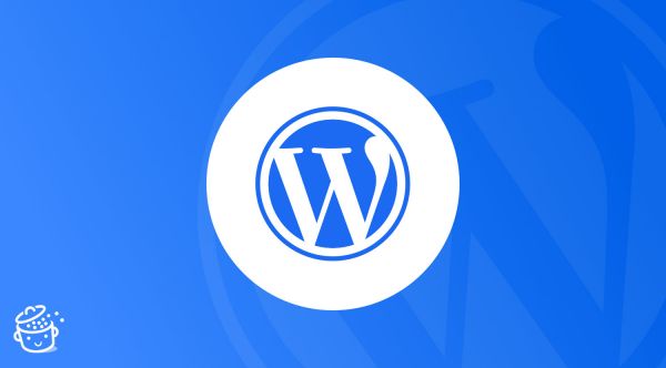 Comment vérifier et gérer la version de WordPress et de vos plugins comme un pro