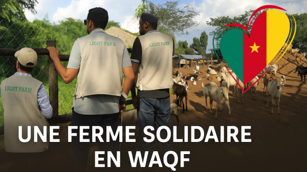 Cameroun : Une ferme solidaire en Waqf pour un impact durable, pour une aumône continue
