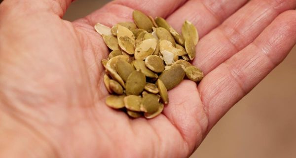 Graines de courge : quels sont les dangers à connaître avant d'en consommer ?