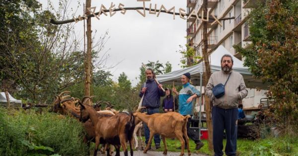À Bagnolet, les habitants des Malassis vivent avec les chèvres