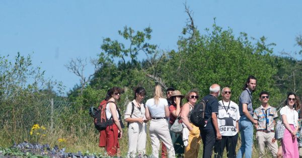 Vosges. Épinal : le projet alimentaire de territoire sera-t-il aussi bénéfique pour les finances ?