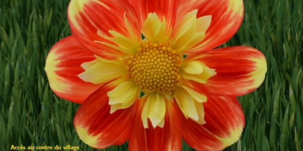 Salon du Jardinage - Plantes et Artisanat - de Jouy-sur-Eure (27)