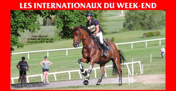 Les internationaux du week-end