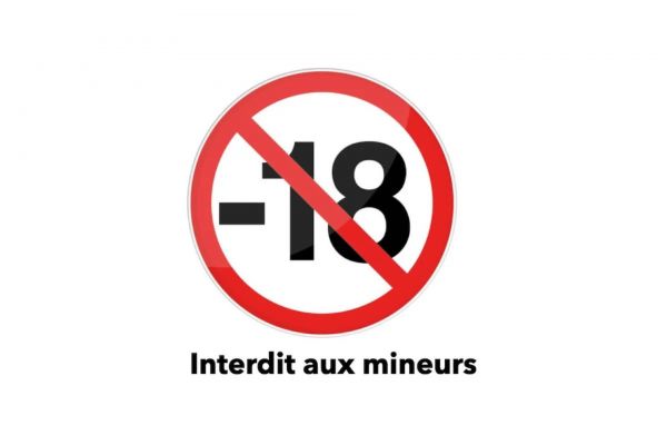 Vérification de l'âge des internautes : ce site porno gagne une manche devant la justice française