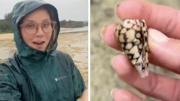 Elle ramasse un « joli coquillage » sur une plage et échappe de peu à un drame