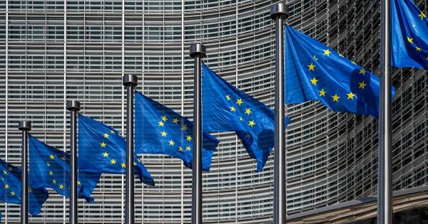 Étiquetage, arrachage, vin sans alcool : les 27 valident le plan européen de simplification