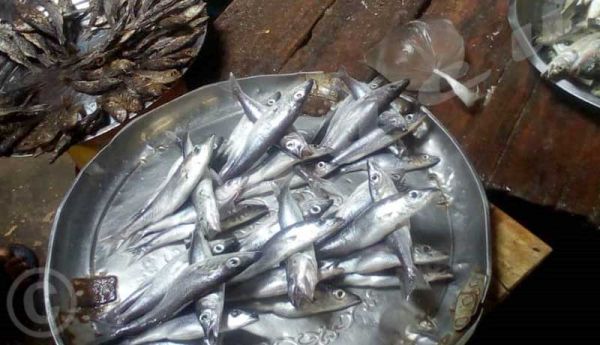 Région Sud/Rumonge : Montée en flèche du prix du poisson sur le marché
