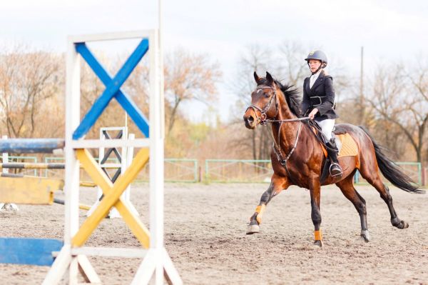 Saut d’obstacles : En parcours, s’assoir ou rester en suspension ?