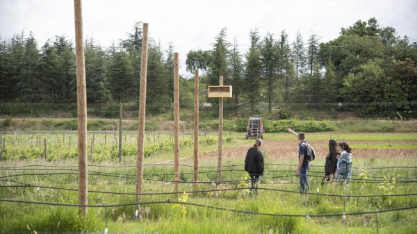 L'enseignement agricole face au défi du changement climatique