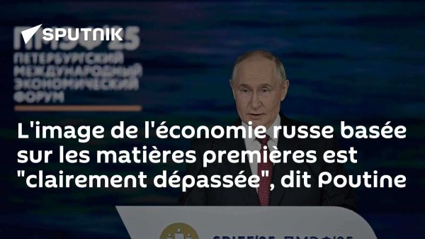 L'image de l'économie russe basée sur les matières premières est "clairement dépassée", dit Poutine