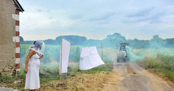 Agriculture : la loi Duplomb menace l'environnement et notre alimentation future