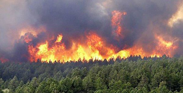 Forets : Tous les incendies enregistrés au cours des dernières 24 h maîtrisés