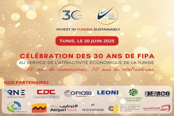 Investissements directs étrangers : 3200 MD en 2024 (FIPA)