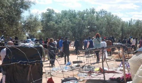 Tunisie : billets gratuits pour les migrants irréguliers souhaitant rentrer chez eux
