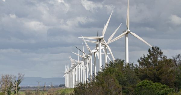 Environnement. Moratoire sur l'éolien et le photovoltaïque : vent mauvais sur le renouvelable