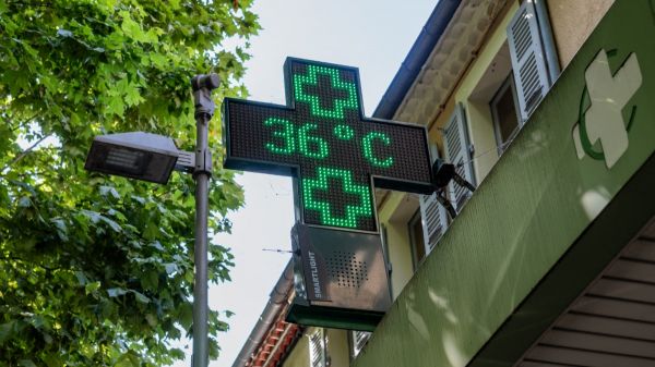 Le retour de la chaleur, ou quand ma vie se transforme en cauchemar