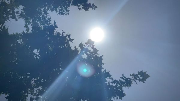 Vestes réfrigérées, pauses, bouteilles d'eau... Qu'ont prévu la SNCF et la RATP pour ce week-end de canicule pour protéger clients et agents?