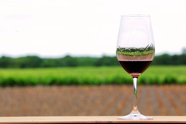 Verre, carafe, température... 8 choses à savoir absolument avant d'ouvrir une bouteille de vin