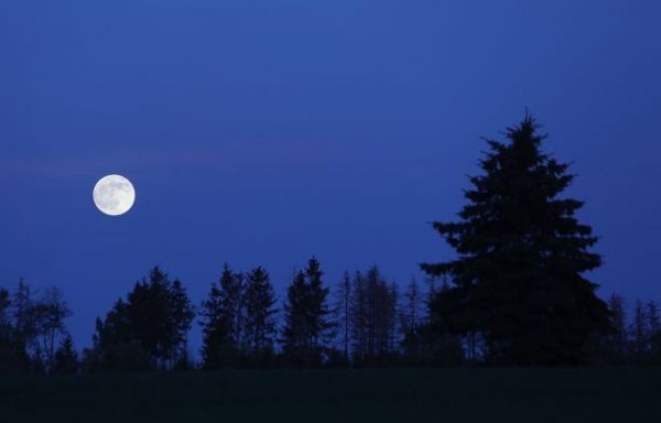 La forêt, la nuit... Ce lieu qui nous fait tous si peur ne serait-il en réalité le lieu le plus safe ?