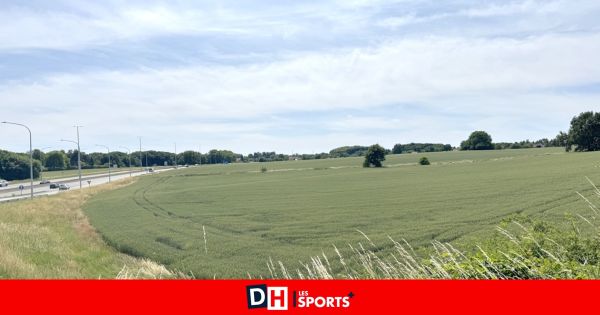 La procédure pour le nouveau dépôt du TEC à Wavre est lancée : les riverains s'opposent au projet