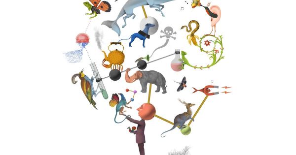 Felix Effenberger, neuroscientifique : "Jamais on ne pourra parler foot avec une baleine”