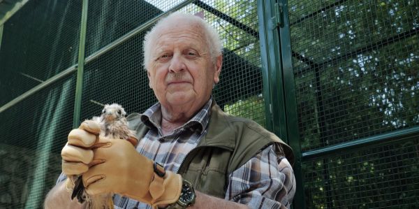 Centre ornithologique de réadaptation: Des milliers d'oiseaux sont soignés depuis un demi-siècle à Genève