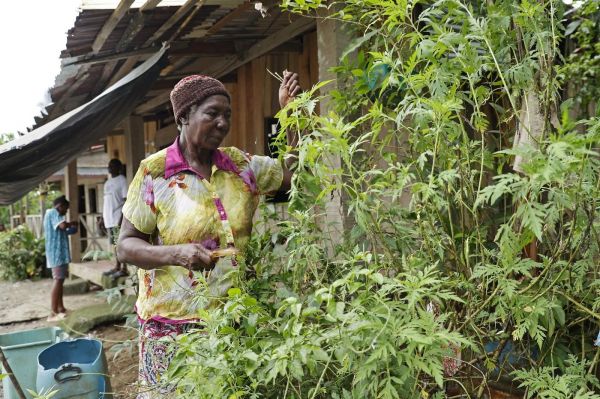 Colombie : à Quibdo, « construire la paix sans les femmes est mission impossible »