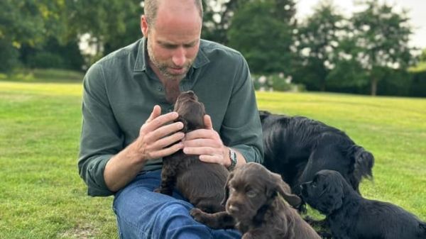 De l'amour et des chiots: Kate, George, Charlotte et Louis célèbrent l'anniversaire du Prince William dans un message sur X
