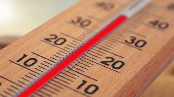 Se lécher le coude en période de canicule, est-ce encore une idée stupide ?