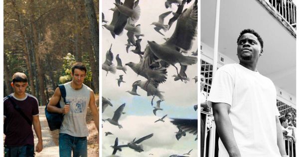 Le top 10 de la semaine du service culture : «Enzo», Verena Paravel au Jeu de Paume, Benjamin Epps...