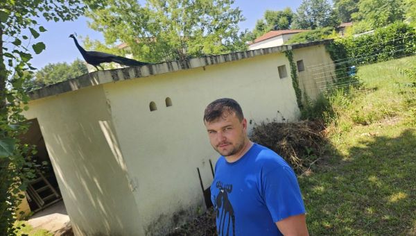 VIDEO - Léon le paon, la mascotte de ce quartier de Bergerac qui vit en liberté, est menacé de devoir quitter les lieux