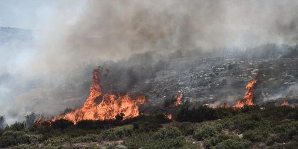 Incendie en Croatie : habitants et touristes évacués pour échapper au feu sur la côte