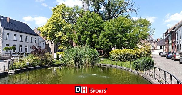 Beloeil: Un Brésilien trop envahissant près du centre
