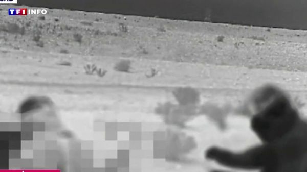 Guerre Israël-Iran : "Il y a une armée invisible israélienne sur le sol iranien" | TF1 INFO