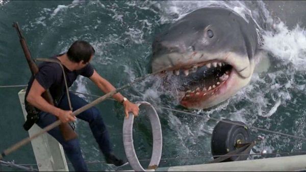 La scène la plus terrifiante des Dents de la mer tournée... dans une simple piscine