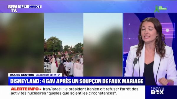 Disneyland : 4 GAV après un soupçon de faux mariage - 21/06