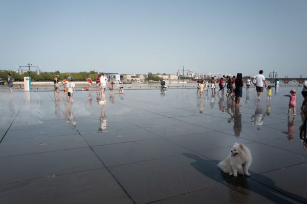 "Stigmates du changement climatique" : des températures jusqu'à 13° supérieures aux normales de saison enregistrées ce week-end en Gironde