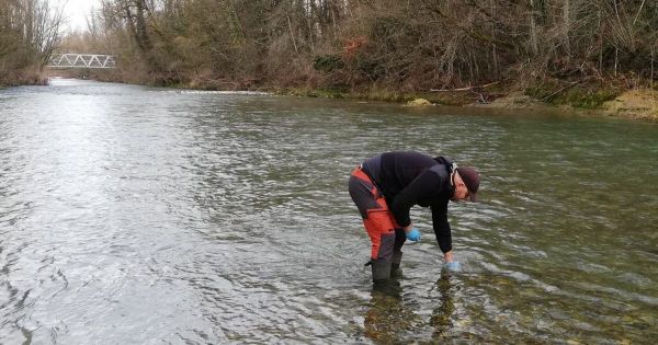 Pollution. « 53 types de Pfas différents ont été identifiés » : à Rumilly, une opération d'ampleur revèle des taux élevés aux polluants éternels