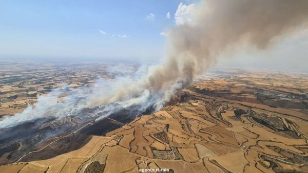 Le premier gros incendie de l'été : 250 hectares de champs de céréales ravagés en Catalogne, les flammes parties d'une voiture qui a pris feu
